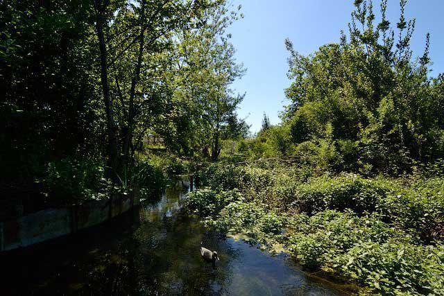 "Агава" Gagra Exteriör bild